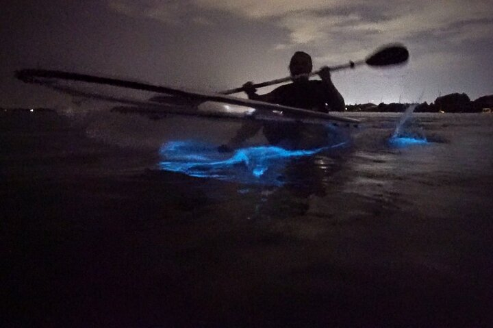 Clear Kayak Bioluminescence Tour - Photo 1 of 7